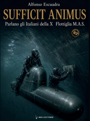 Sufficit animus